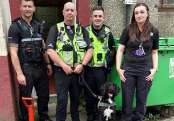 cigarette-tobacco-seizure-officers-trading-standards